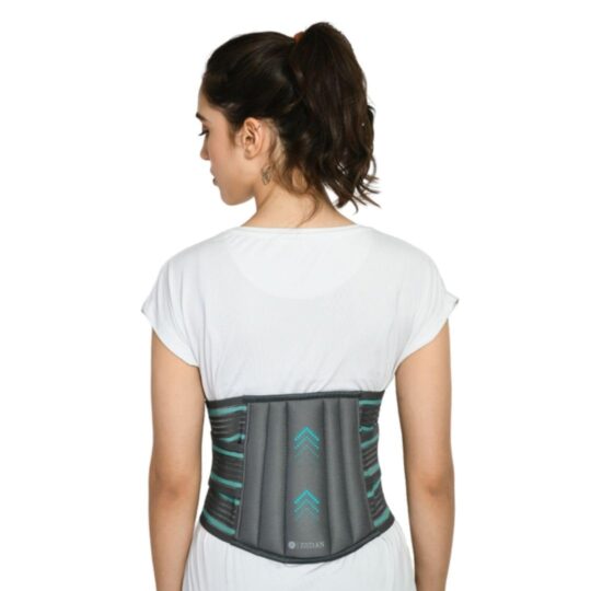 ZEDAN Lower Back Brace Support Waist Belt for Back Pain Relief, Sprains, Strains, Sciatica - Dual Adjustable Straps, Universal Fit (Grey)